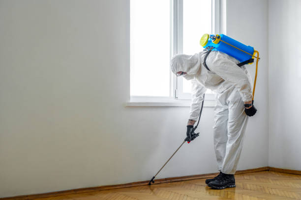 Best Best Pest Control Companies  in Brooklyn, NY