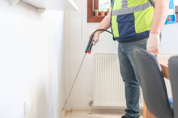 Professional Pest Control in Brooklyn, NY